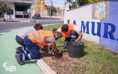La empresa municipal ILDO arreglará las zonas ajardinadas de las pedanías por 350.000 euros