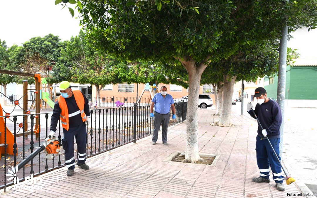 La empresa municipal ILDO será la encargada del mantenimiento de 134 espacios verdes de Orihuela