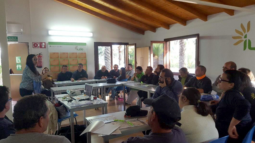 ildo-formacion-cursos-1